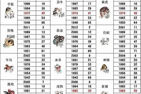 屬鼠跟什麼生肖合|属鼠的和什么属相最配、相克 与鼠相冲相克的属相